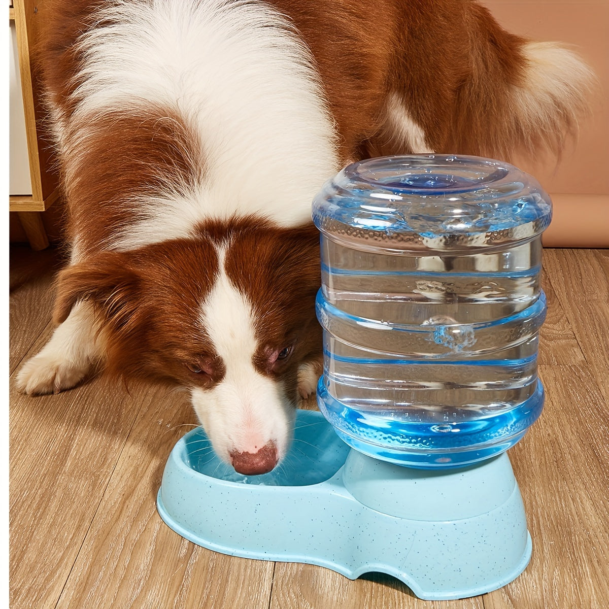 Large Capacity Pet Feeder Fountain