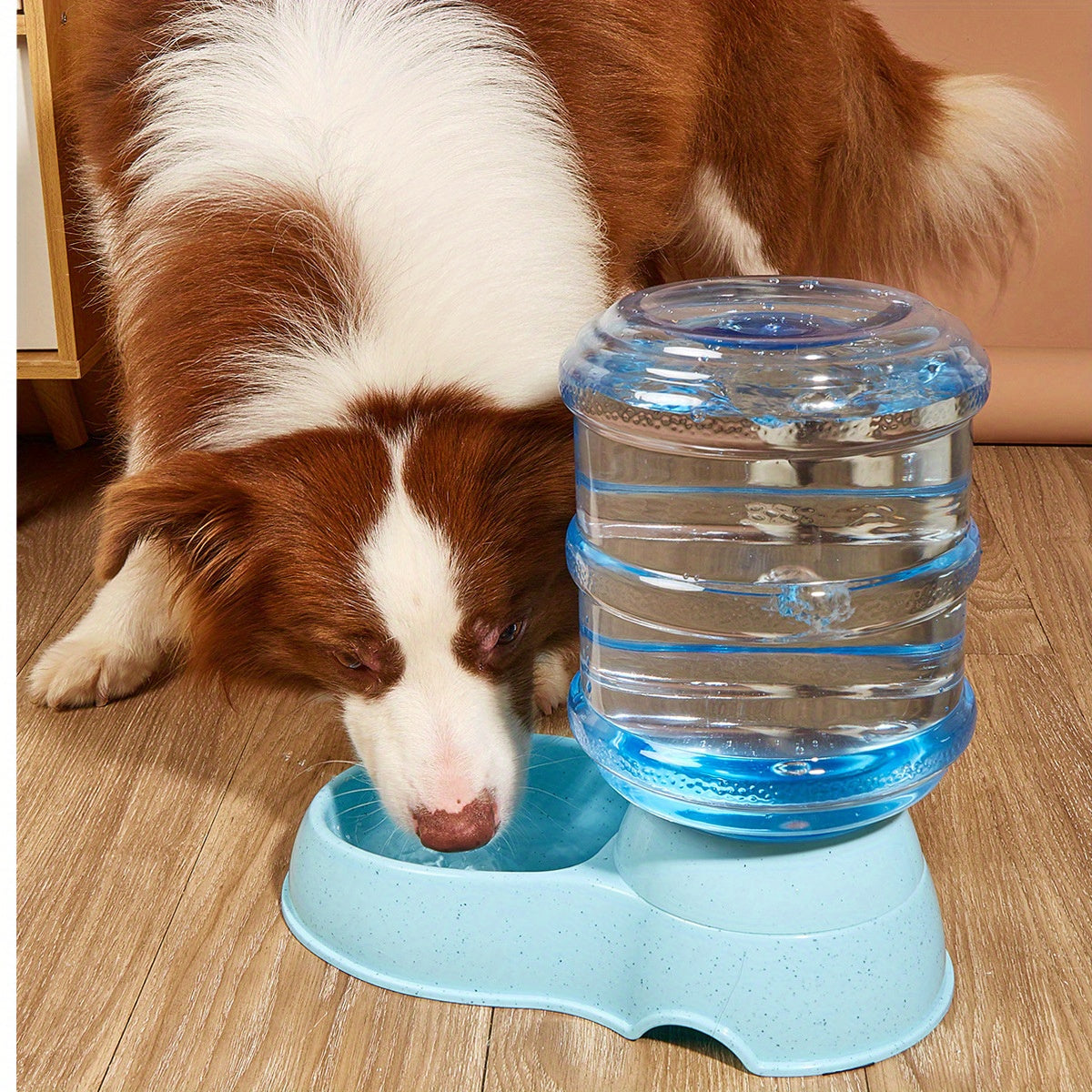 Large Capacity Pet Feeder Fountain